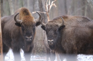 1579681439-stolica-s-su-IMG_0947, Столица С, Денис Тюркин.jpg 1579681439-stolica-s-su-IMG_0947, Столица С, Денис Тюркин.jpg